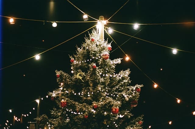 新北歡樂耶誕城必備:聖誕節造型悠遊卡大公開!