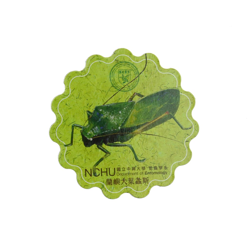昆蟲統治人類究竟可不可能？其中有你不知道的強大力量！